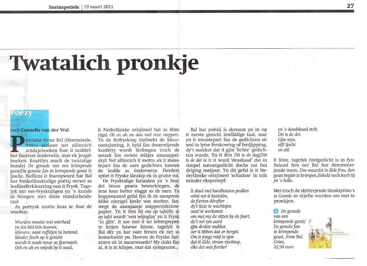 recensie Friesch Dagblad